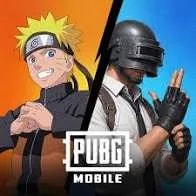 PUPG